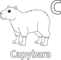 Capybara Animal Alphabet ABC Isolated Coloring C vector
