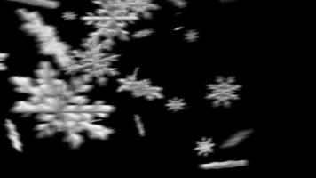 vuelo rápido de copos de nieve texturizados sobre un fondo negro video