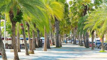 Pattaya, Thailand - December 06, 2022 Beachfront promenade is often planted and decorated with palm trees to provide shade for vacationers and exercise video