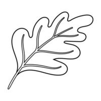 Leaf vector design with lines suitable for coloring