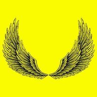 Wings vector design for logo ornament
