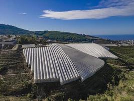 tierras de cultivo cubiertas aéreas. huerta tropical foto