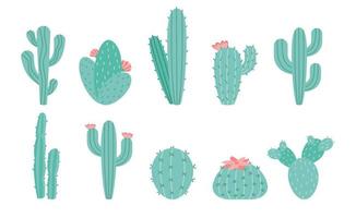 conjunto de vectores de cactus aislado sobre fondo blanco