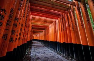 Orange gates at Fushima-Inari Taisha Shrine in Kyoto, Japan photo