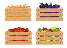 Tomatoes in a wooden box. Autumn harvest. Isolated over white background. vector