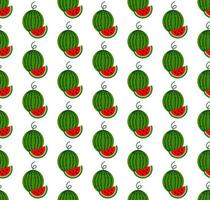 Vector seamless pattern in watermelons on a white background