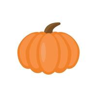 Pumpkin Icon White Background Flat Style Print Web Design eps 10 vector