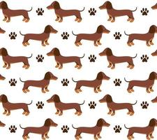 Vector seamless pattern in dachshund for print and web design on white background eps 10