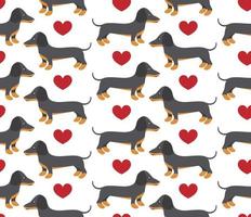Vector seamless pattern in dachshund for print and web design on white background eps 10