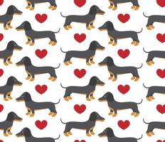 Vector seamless pattern in dachshund for print and web design on white background eps 10