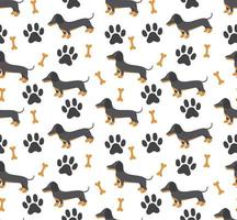 Vector seamless pattern in dachshund for print and web design on white background eps 10