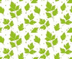 Seamless pattern with parsley leaves. on white background. vector illustration