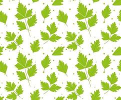 Seamless pattern with parsley leaves. on white background. vector illustration