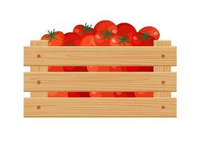 Tomatoes in a wooden box. Autumn harvest. Isolated over white background. vector