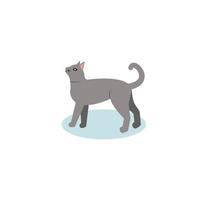 cat icon flat style on white background vector