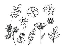 Set of hand drawn flowers and leaves new design . Vector illustration