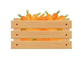 zanahorias en una caja de madera. cosecha de otoño. aislado sobre fondo blanco. vector