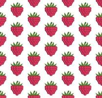 seamless pattern with raspberriesVector seamless pattern in raspberries on a white background vector