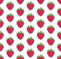 seamless pattern with raspberriesVector seamless pattern in raspberries on a white background vector