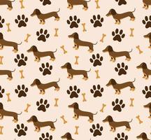 Vector seamless pattern in dachshund for print and web design on white background eps 10