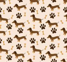 Vector seamless pattern in dachshund for print and web design on white background eps 10