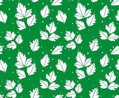Seamless pattern with parsley leaves. on white background. vector illustration