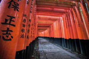 puertas naranjas en el santuario fushima-inari taisha en kyoto, japón foto