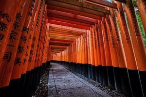 puertas naranjas en el santuario fushima-inari taisha en kyoto, japón foto