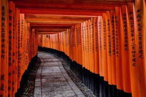 Orange gates at Fushima-Inari Taisha Shrine in Kyoto, Japan photo