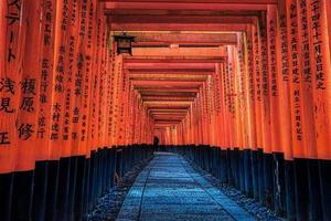 puertas naranjas en el santuario fushima-inari taisha en kyoto, japón foto