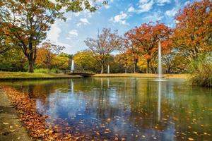 parque yoyogi en tokio, japón foto