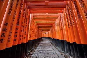 Orange gates at Fushima-Inari Taisha Shrine in Kyoto, Japan photo