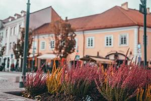 Street Views of Vilnius, Lithuania in Fall photo