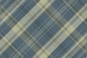 Tartan or plaid winter color pattern. vector