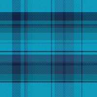 Tartan or plaid winter color pattern. vector