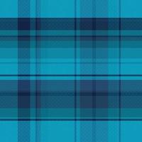 Tartan or plaid winter color pattern. vector