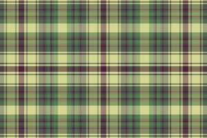 Tartan or plaid winter color pattern. vector