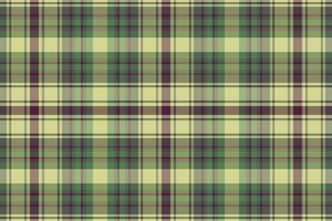 Tartan or plaid winter color pattern. vector