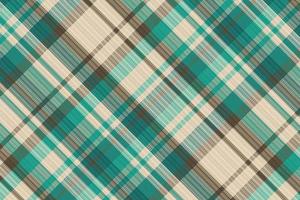 Tartan or plaid winter color pattern. vector