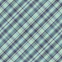 Tartan or plaid winter color pattern. vector