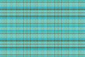 Tartan or plaid winter color pattern. vector