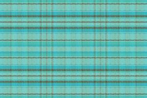 Tartan or plaid winter color pattern. vector