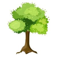 Ilustración de vector plano de árbol verde. hermosas hojas verdes resaltadas en un fondo blanco. primavera y verano de los árboles. una planta del bosque