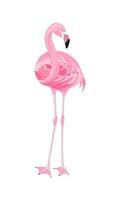 Pink flamingo in full growth, highlighted on a white background, front view, looks straight, slightly turned neck, bright feathers. Printing on any surface vector