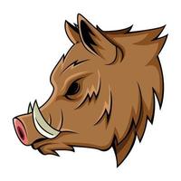 Wild Boar Head Illustration vector