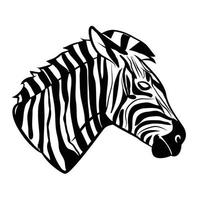 Zebra Head Cartoon Illustration vector