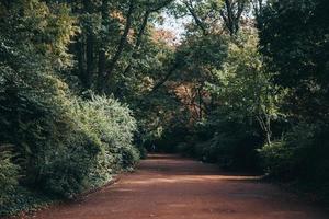 Jardin Vauban park seen in Lille, France photo