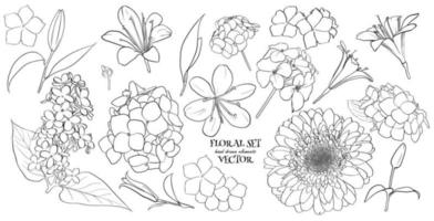 ilustración vectorial - conjunto floral flores, hojas y ramas. elementos de diseño hechos a mano en estilo boceto. perfecto para invitaciones, tarjetas de felicitación, tatuajes, huellas. vector