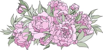 Flower arrangement. Peonies in a hand sketch. Perfect for invitations, greeting cards, tattoos, prints. Vector illustration