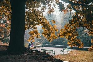 Views from around the streets of Ljubljana, Slovenia photo